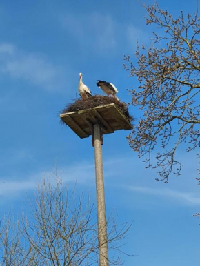 Ingrid`s Ferienwohnung in Erfde